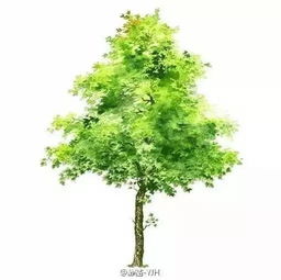五十多種水彩樹木素材總會有一種適合你 從技法到栽種的完全指南
